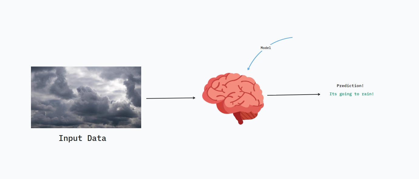 A model lets us make predictions about the world
