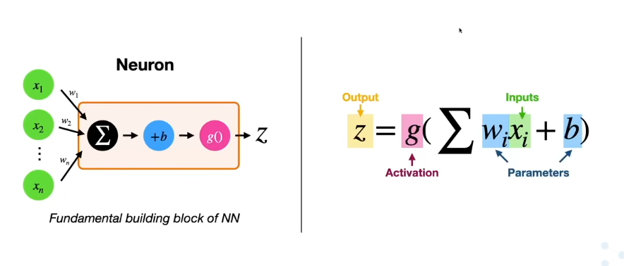 A neuron: weighted sum plus bias passed through an activation function